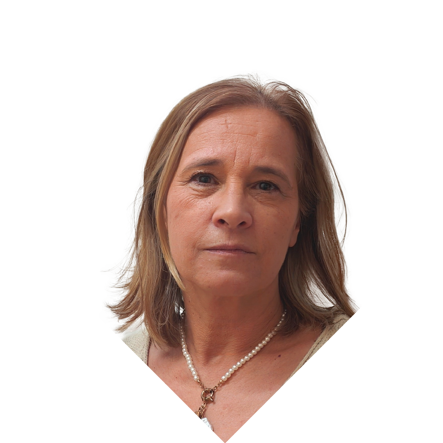 Fotografia do órgao social